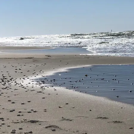 Studio Den Burg Lejlighed Den Burg