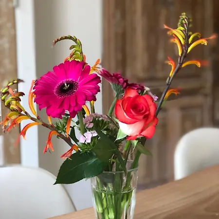 Studio Den Burg Lejlighed Den Burg