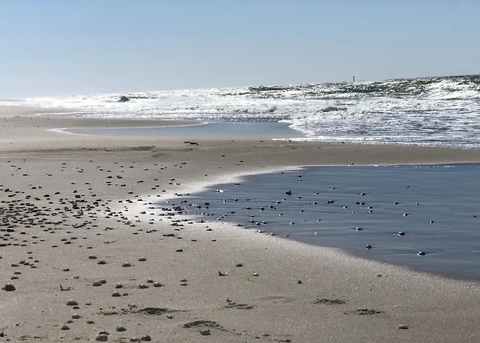 Studio Den Burg Апартаменты Ден-Бург