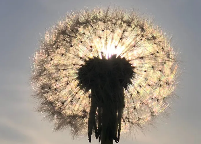 Studio Den Burg Ден-Бург