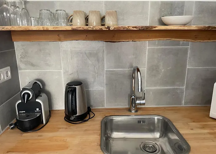 Апартаменты Studio Den Burg *